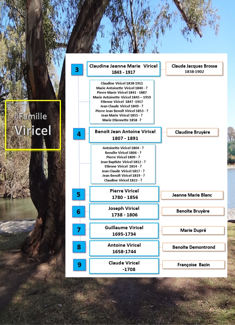 familleVIRICEL   Copie